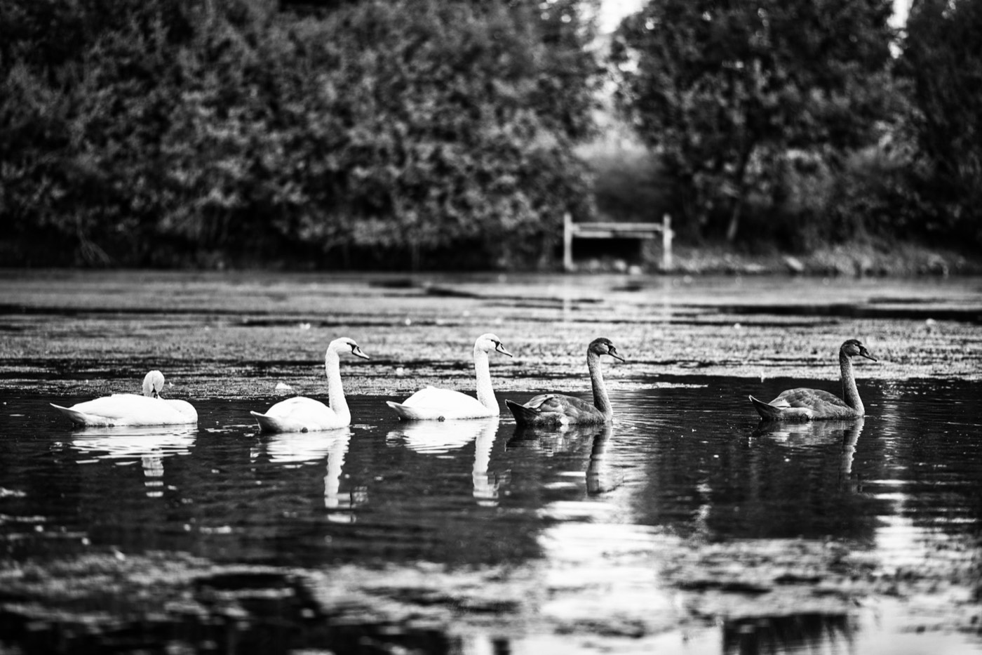 2R1A6368.jpeg