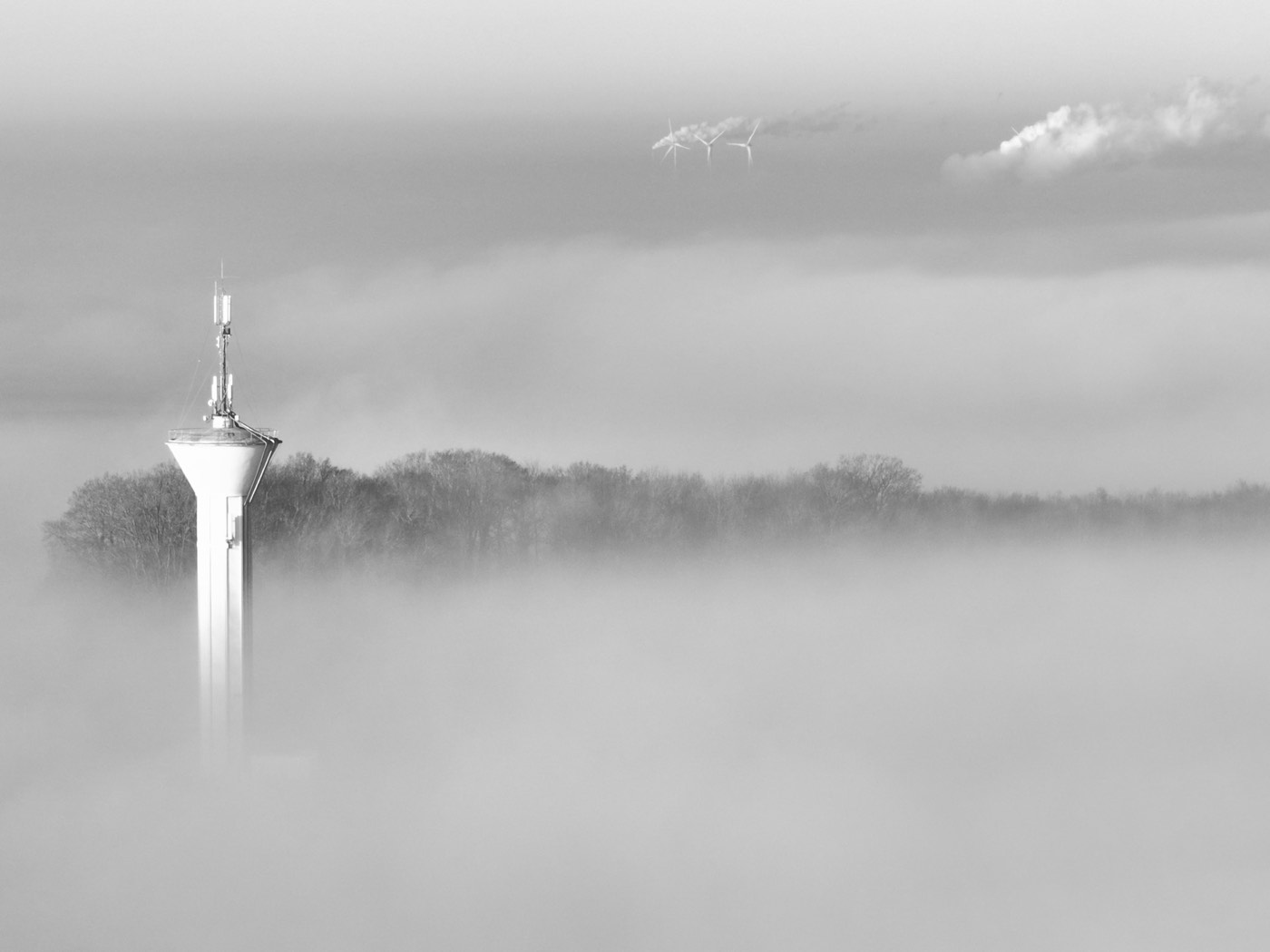DJI_0293.JPG